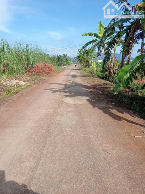 26x39m phường 3 Bảo Lộc chỉ 1ty2. - 1