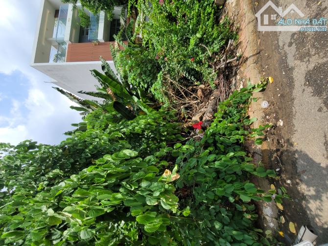 [Q7] Hàng hiếm đất trống dtcn 140m2 (5x28) full thổ cư chỉ 50m ra HTP nhỉnh 6 tỷ - 1