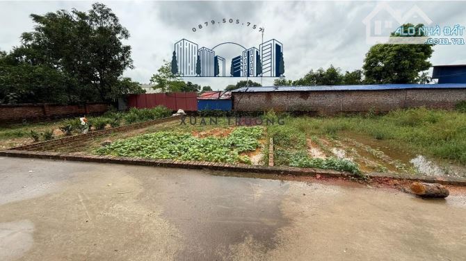 💥93m² Full Thổ Cư – Ô Tô Tránh – Xuân Đồng, Sóc Sơn – Giá chỉ 1,9x Tỷ💥 - 1