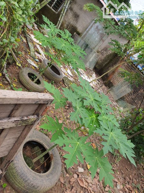 Bán ĐẤT Nguyễn Đạo An, Phú Diễn, Bắc Từ Liêm, Gần ĐH Tài Nguyên Môi Trường. 62m2. 9,8 Tỷ - 1