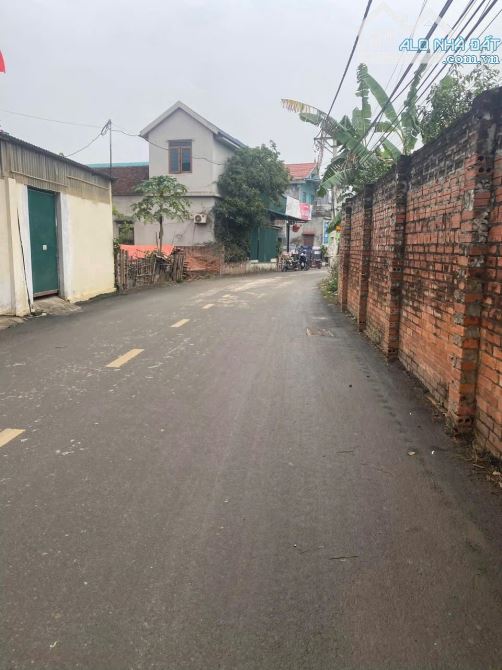 BÁN ĐẤT THÔN 5  300m – PHÚ CÁT – QUỐC OAI - 1