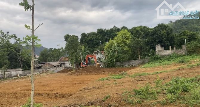 bán 8000m trong đó có 7000m đất vườn còn lại 400 đất ở tại đá bạc liên sơn hoà bình cũ . - 1