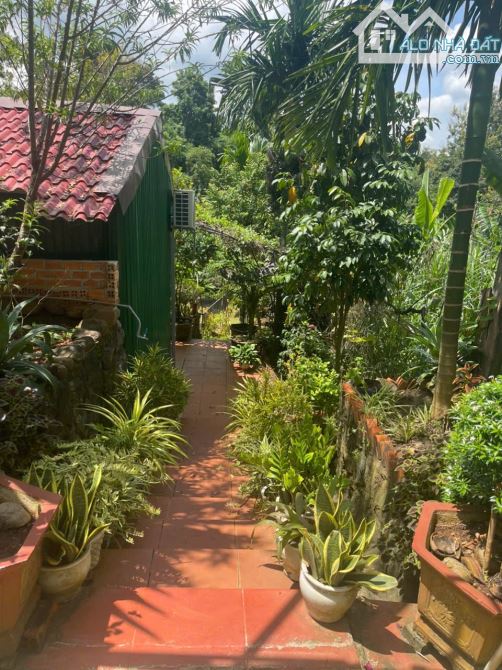 Cần Bán  NHÀ VIEW HỒ NGHỈ DƯỠNG CƯEBUR Tp Bmt GIÁ CHỈ 2 TỶ 700 TRIỆU - 12