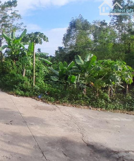 🔥 BÁN ĐẤT LÔ GÓC  (139m² THỔ CƯ) – MT 10m – ĐƯỜNG 7m – GIÁ 1,7 TỶ – BẮC VỌNG, BẮC PHÚ, SÓ - 2