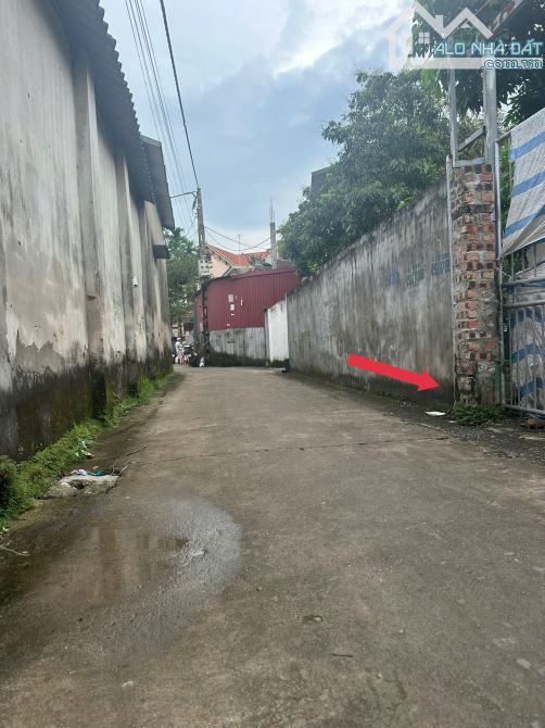 ✅✅✅ SIÊU HIẾM 95M2 THÔN DÂU_ PHƯỜNG MỸ HÀO.  🚩 DT 95M2. MT= HẬU VUÔNG ĐÉT.  🚗ĐƯỜNG THÔNG - 2