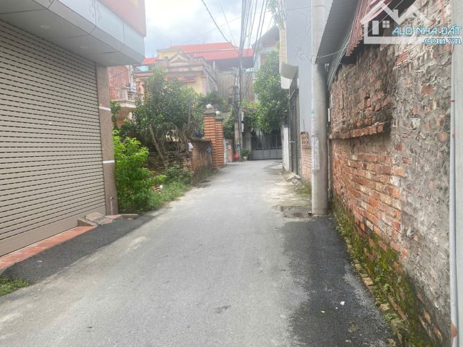 BÁN ĐẤT 79M GIÁ CHỈ 6.X TỶ VỊ TRÍ TRUNG TÂM LỄ PHÁP, TIÊN DƯƠNG, ĐÔNG ANH - 2