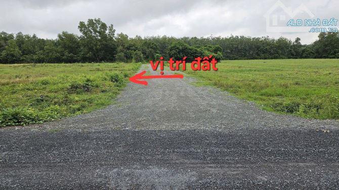 114m2 full thổ cư.  Đón sóng KCN Hiệp Thạnh. chỉ  400 tr - 2
