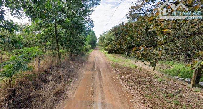 Bán đất tại Xã Phú Ngọc, Định Quán, Đồng Nai, 1,35 tỷ, 6846 m2 có 80m mặt tiền chỉ 1ty350 - 2