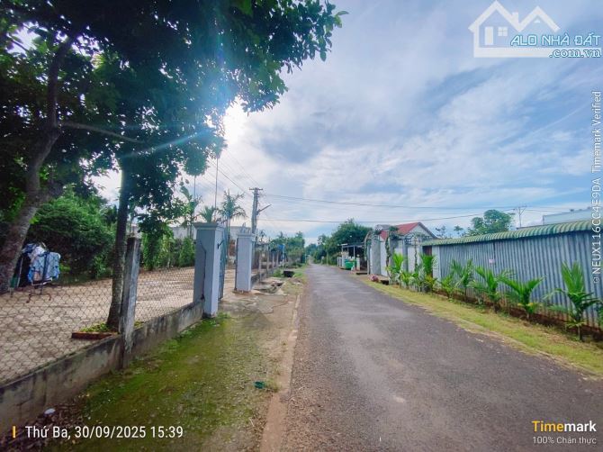 🌳Bán đất mặt tiền đường 20A Hoà Thuận , Đạt Lý, Phường Tân An, Đăk Lăk. - 2
