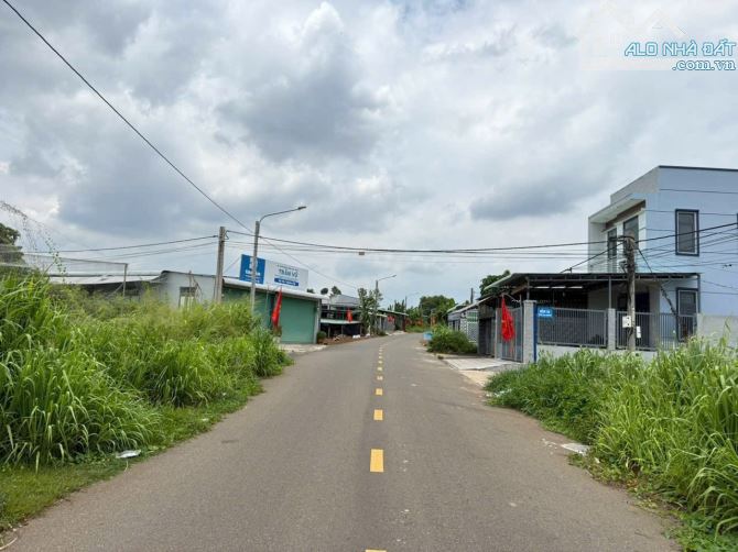 Bán Đất TT Đất Đỏ , đường trần văn thượng , Long đất , BRVT - 2