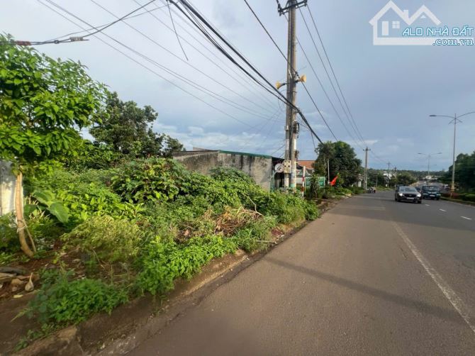 BÁN LÔ ĐẤT MẶT TIỀN NGUYỄN THÁI BÌNH – PHƯỜNG TÂN LẬP, ĐẮK LẮK - 2