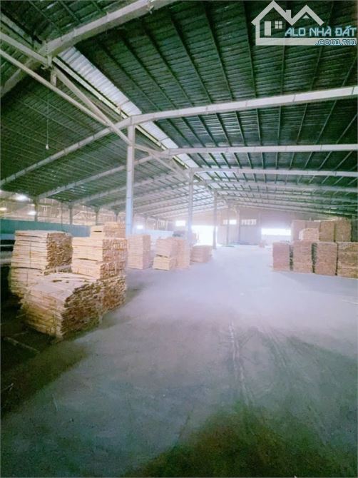 XT556 Cho thuê nhà xưởng với vùng nguyên liệu Gỗ lớn, nguồn LDPT đông đúc - 2