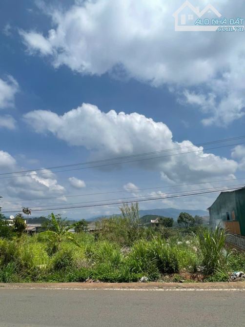 ✨✨BÁN ĐẤT MẶT TIỀN ĐƯỜNG NHỰA CHÍNH - Xã Nam Hà 🌳 🌳  - Lâm Hà - Chỉ Với 2,1 Tỷ 🌳 🌳 - 2