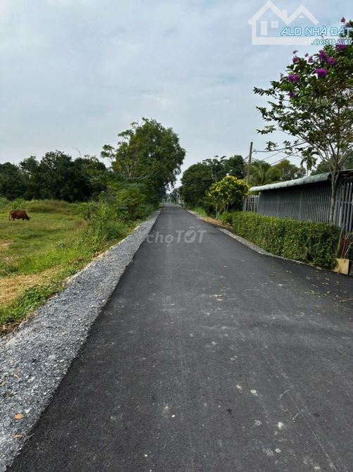 Chủ gửi 99m2 đất thổ cư ở Phước Hiệp – Giá600tr – Cách Ql 22 400m - 2