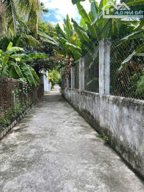 Bán Đất 105m2  Tặng Dãy Trọ Hẻm Cầu Dứa - Phú Nông - 2