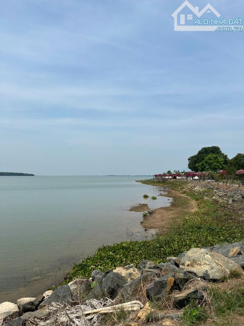 Bán 2 lô Đất View Hồ Dầu Tiếng - 2