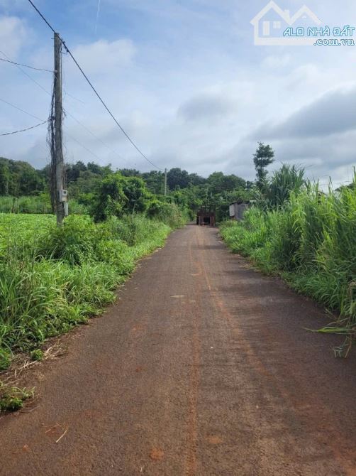 BÁN 1000M2 ĐẤT MT NHỰA VIEW HỒ SÔNG RAY TAI BÀU LÂM XUYÊN MỘC, GIÁ 850TR - 2