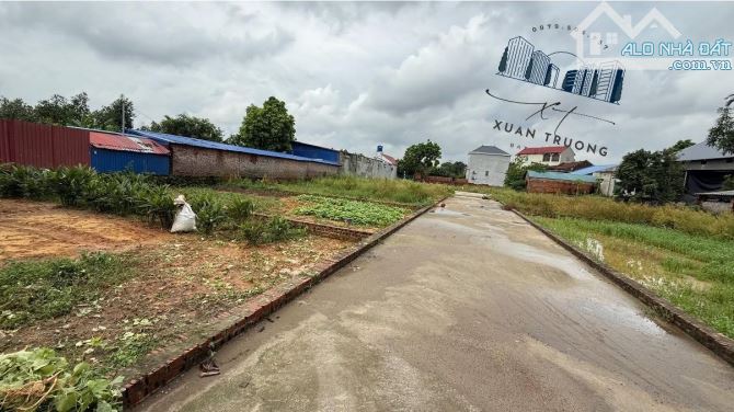 💥93m² Full Thổ Cư – Ô Tô Tránh – Xuân Đồng, Sóc Sơn – Giá chỉ 1,9x Tỷ💥 - 2