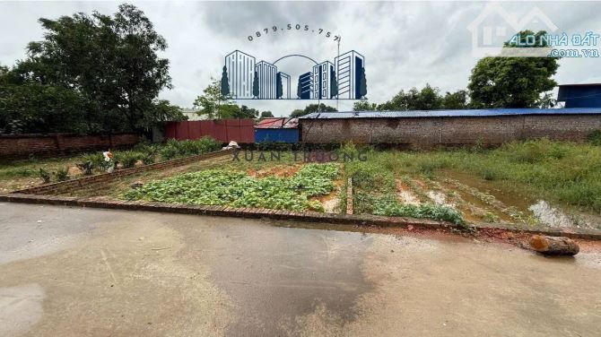 💥93m² Full Thổ Cư – Ô Tô Tránh – Xuân Đồng, Sóc Sơn – Giá chỉ 1,9x Tỷ💥 - 2