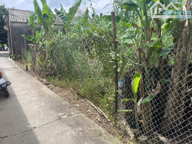 💥Rẻ Nhất Hồng Vân - Thường Tín - HN 👉Đất Đẹp không lỗi phong thủy  **Diện tích: 100M2  * - 2