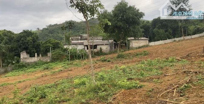 bán 8000m trong đó có 7000m đất vườn còn lại 400 đất ở tại đá bạc liên sơn hoà bình cũ . - 2