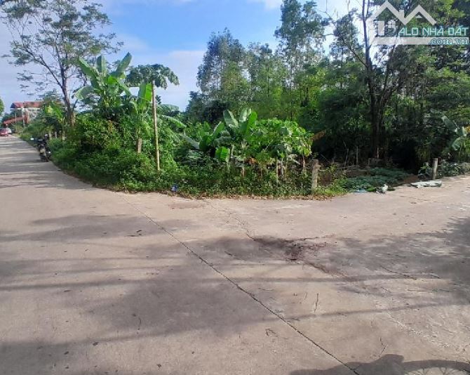 🔥 BÁN ĐẤT LÔ GÓC  (139m² THỔ CƯ) – MT 10m – ĐƯỜNG 7m – GIÁ 1,7 TỶ – BẮC VỌNG, BẮC PHÚ, SÓ - 3