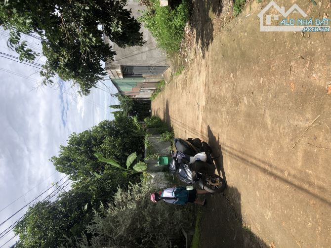 🌈Đất Dài Hẻm NGUYỄN TRƯỜNG TỘ (5x50m👉1.45 tỷ) - 3