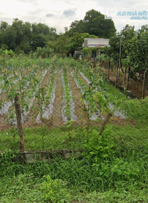 đất tỉnh lộ 2 ngân hàng hỗ trợ 70% xây dựng tự do - 3