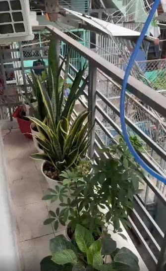 Nhà mới Lê Hông Phong, Trệt 2 Lầu, 2PN 3WC, 10 Triệu - 3