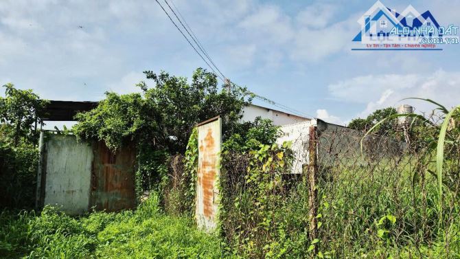 Bán đất xã Bình Lợi Huyện Vĩnh Cửu Đồng Nai 3700m2 giá chỉ 6,5 tỷ. - 3