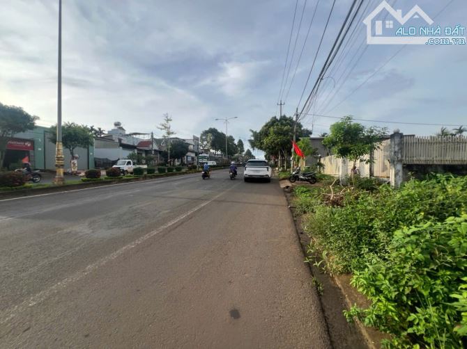 BÁN LÔ ĐẤT MẶT TIỀN NGUYỄN THÁI BÌNH – PHƯỜNG TÂN LẬP, ĐẮK LẮK - 3