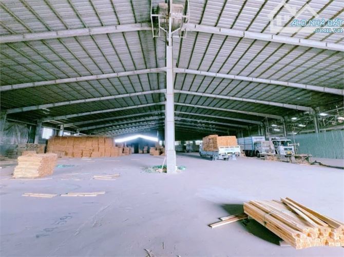 XT556 Cho thuê nhà xưởng với vùng nguyên liệu Gỗ lớn, nguồn LDPT đông đúc - 3