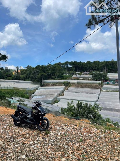 ✨🏡BÁN ĐẤT GIÁ RẺ - P. CAM LY -NGUYỄN ĐÌNH QUÂN - ĐÀ LẠT - ✨CHỈ TỪ 480 TRIỆU CÓ VIEW ✨ - 3