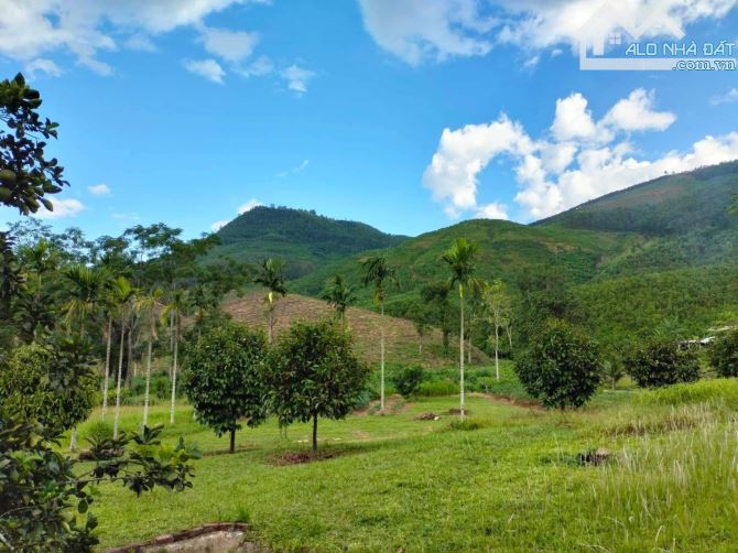 Chào bán 100 hecta đất Hòa ninh gần các trung tâm thương mại tự Do. - 3