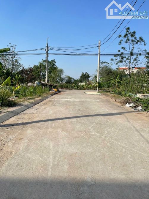 Bán 66m2 đất đấu giá Khu X1 Lại Yên, Hoài Đức - 3