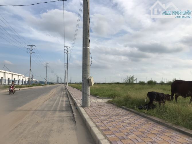Chuyển nhượng 25.000m2 đất khu Công nghiệp Việt Yên (Bắc Ninh mới) - 3