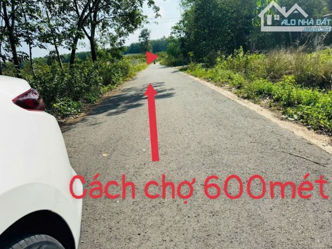 TIỆN ÍCH VÀNG - ĐẤT SỔ RIÊNG 225M2 - LONG HOÀ, DẦU TIẾNG - GIÁ CHỈ 5xx TRIỆU - 3