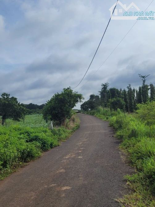 BÁN 1000M2 ĐẤT MT NHỰA VIEW HỒ SÔNG RAY TAI BÀU LÂM XUYÊN MỘC, GIÁ 850TR - 3