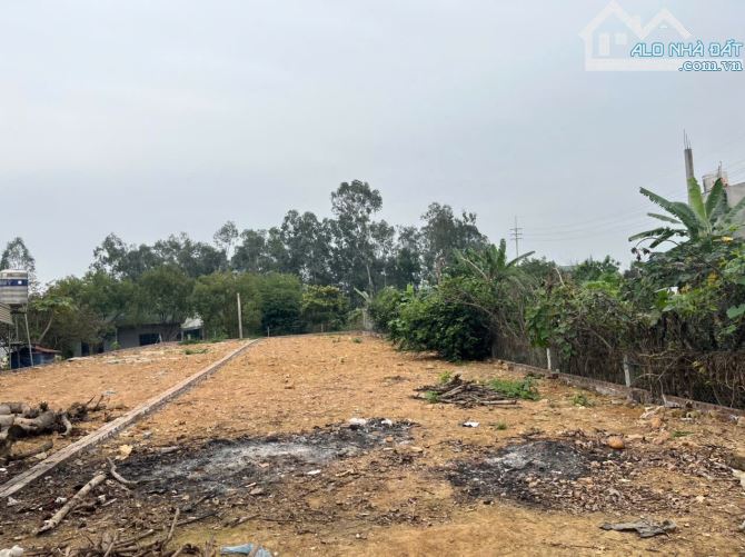 BÁN ĐẤT THÔN 5  300m – PHÚ CÁT – QUỐC OAI - 3