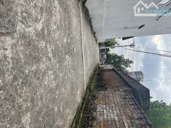 🔥Bán đất tặng nhà Lô Góc C4 Nội Bài (Phú Cường Sóc Sơn) - 3