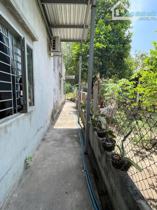 Nhà Cấp 4 ngay trung tâm Phạm Văn Cội ngay Chợ 250m2 Full thổ cư đường nhựa khu bàn cờ - 3
