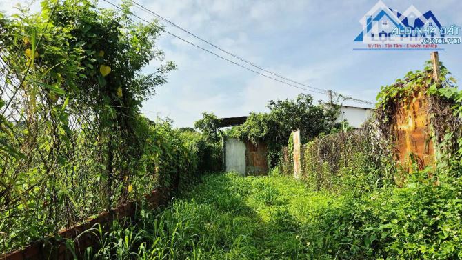 Bán đất xã Bình Lợi Huyện Vĩnh Cửu Đồng Nai 3700m2 giá chỉ 6,5 tỷ. - 4