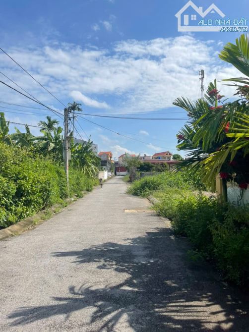 ❌❌❌Chính chủ gửi bán lô biệt thự Đồng Tiến 1, Bàng La, Đồ Sơn, Hải Phòng 295m - 4
