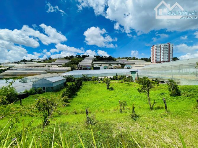 Đà Lạt - Đất Mặt tiền - Đường Châu Văn Liêm - 2100m2 - 22 tỷ - 4
