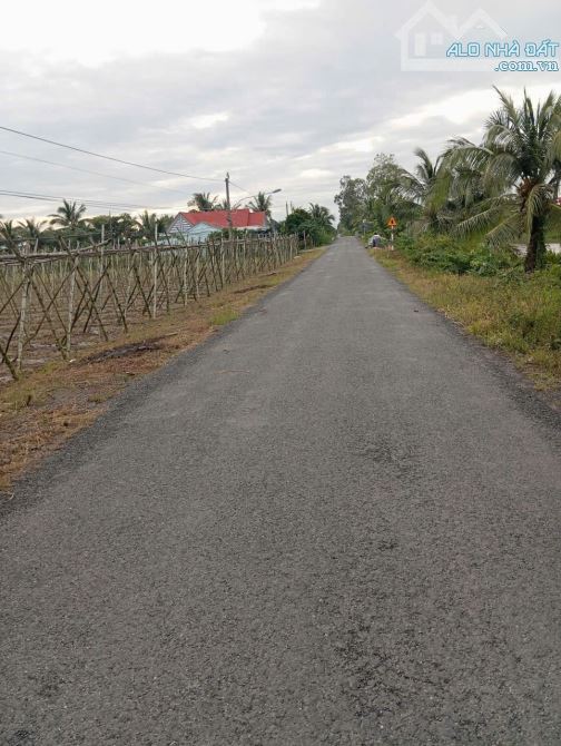 (8x42) Đất mặt tiền nhựa ĐT871C gần cống Rạch Bùn - Tân Điền – Gò Công Đông, TG cũ - 4