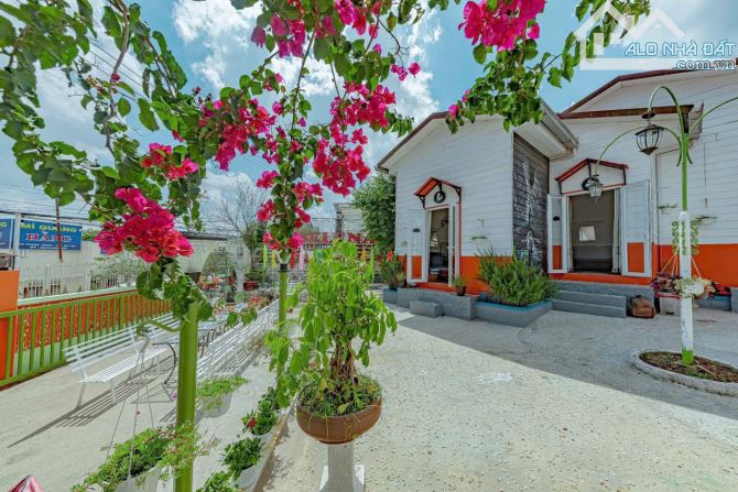 Chính chủ gửi bán khu HomeStay mặt tiền đường chính Trạng Trình phường Lâm Viên - 4