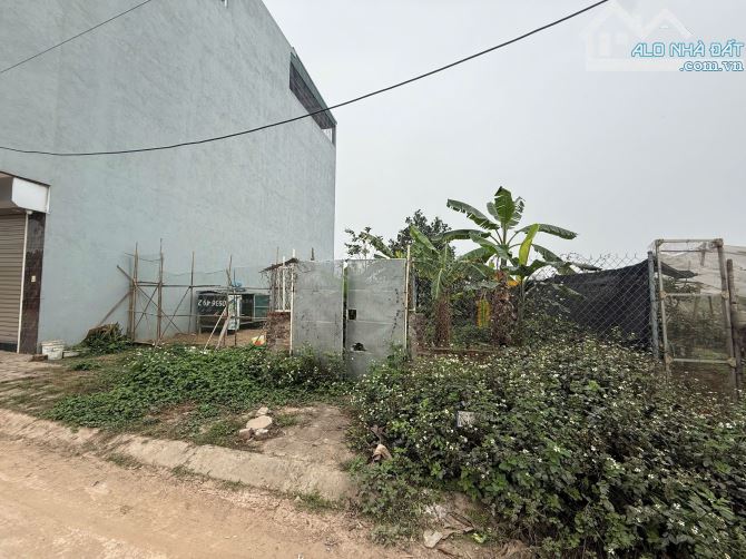 Bán 66m2 đất đấu giá Khu X1 Lại Yên, Hoài Đức - 4