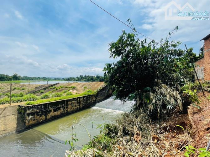 Đất View Suối + Hồ Giò Gà - Phường Khánh Xuân(cũ) - 4
