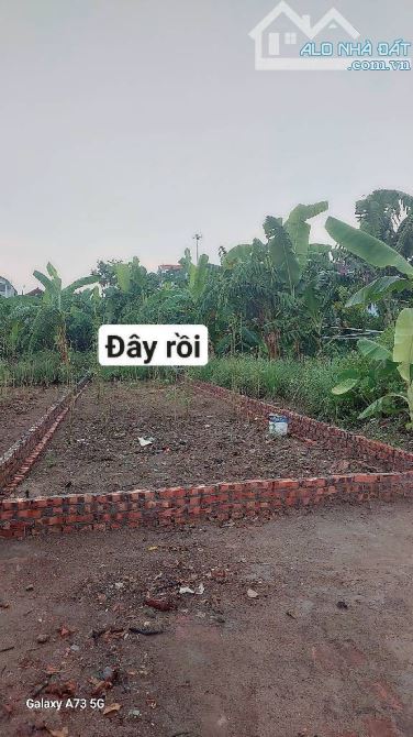Bán 80m2 đất TĐC Kim Sơn giá đầu tư - 4