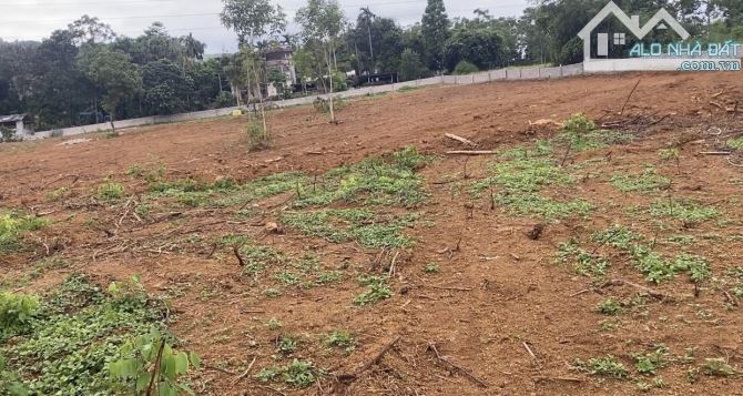 bán 8000m trong đó có 7000m đất vườn còn lại 400 đất ở tại đá bạc liên sơn hoà bình cũ . - 4
